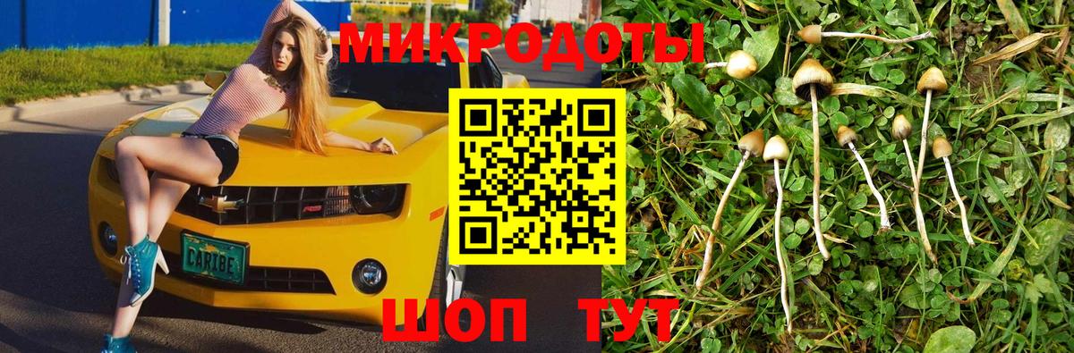 Галлюциногенные грибы Psilocybine cubensis Туапсе